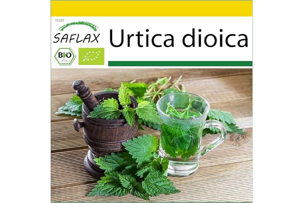 SAFLAX - BIO - Grande ortie - 2000 graines - Urtica dioica