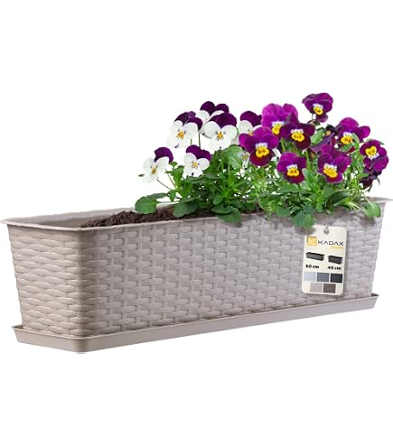 Seat Flor Balkonkasten, Balkonkasten, Blumenkasten, Blumenkasten (60cm, Grn):  Amazon.de: Garten