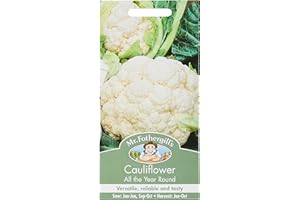 Mr Fothergills Seeds Ltd 10401 Vegetable Seeds, Cauliflower All The Year Round, White