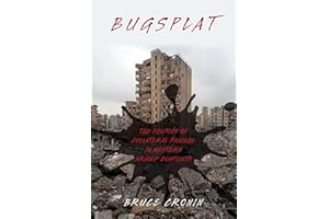 BUGSPLAT P: The Politics of Collateral Damage in Western Armed Conflicts