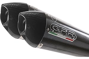 GPR EXHAUST SYSTEM GPR Auspuff für Yamaha YBR 125 I.E. 2005/16 Anlage komplett zugelassen Serie der EVO Poppy