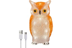 Gloworm YKL-1018 22,5 cm Acryl-Batteriebox Eule mit 24 warmweißen LEDs, 6-Stunden-Timer, Dual-Netzteil USB oder Batterien: 3 x AA 1,5 V (Nicht im Lieferumfang enthalten) für den Innenbereich