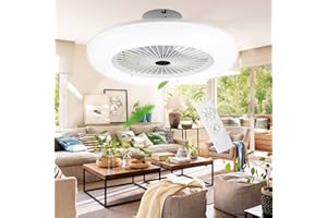 Hebitod ventilador de techo LED con luz y mando a distancia, 80W LED ventilador de techo con luz Ø55cm, regulable (3000K-6500K), 3 velocidades de viento, temperatura de color ajustable, temporización