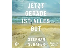 Jetzt gerade ist alles gut: Nach dem SPIEGEL-Bestseller »25 letzte Sommer« – der neue Roman von Erfolgsautor Stephan Schäfer