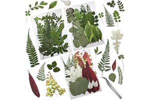 Cinvo 63 Stück echte, getrocknete gepresste Blätter, natürliche getrocknete Blätter für Kerzen, Harz, Schmuck, Seife, Nagelanhänger, Handyhülle, Basteln, Blumendekorationen, Scrapbooking, DIY, 21