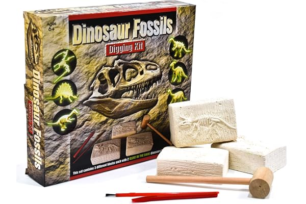 Fossiles de dinosaures Kit de creusement - Creuser des 6 différents dinosaures