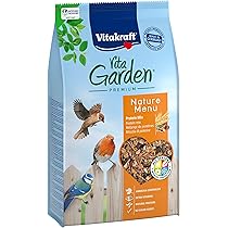 DeJivsin Fenster-Futterhaus Transparent - Vogelfutterspender Mit Saugnäpfen Für Glasscheiben