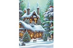 RICUVED Hivers Paysages Peinture Diamant 5D Complet, Diamond Painting Noël Diamant Peinture Point, Kit de Peinture Diamanté Village DIY pour Adulte, Décoration Murale Decor 30x40cm