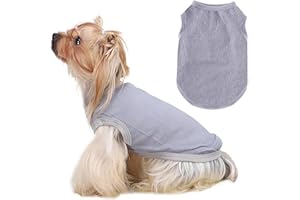 DIELIANHUA Gilet Rafraîchissant pour Chien,Gilet de Refroidissement pour Chien, Gilets pour Chiens Frais Et Confortable pour L'Été, Adapté Aux Chiens de Petite Et Moyenne Taille/Gris XL