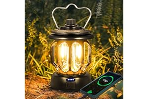 Seutgjie Retro Camping Lamp Rechargeable 5200 mAh Power Bank Portable Dimmable Warm Cool for Power Outages Hiking Emergency Fishing