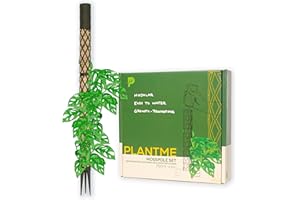 PlantMe Moosstab Midi Set - Rankhilfe Zimmerpflanze Rankhilfen für Kletterpflanzen, Efeutute, Moosstab, Pflanzenstütze, Moss Pole, Kletterhilfe Zimmerpflanzen, Philodendron (Grün-Grau, 70cm)