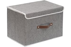 OUTBROS Boîte de Rangement, 45 x 30 x 30 cm Paniers de Rangement Pliables avec Couvercles et Poignées, Boîte Range pour Vêtement, Magazine pour, Chambre à Coucher (1 pièces, Gris)