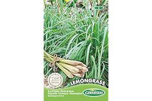 GERMISEM Lemongrass Seeds