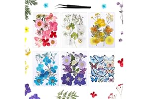YANSYUN Fiori Secchi Naturali Fiori Pressati, Adesivi Farfalla Foglie Secche Margherite Secche per Creazione di Biglietti Artigianali per Scrapbooking in Resina Fai-da-te