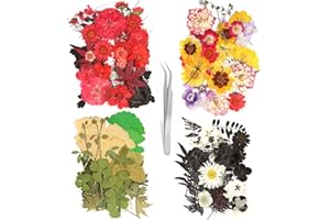 Ryebme 140 Piezas Flores Secas, Naturales Flores Prensadas Secas con Pinzas, Decoraciones Flores Secas para Resina, Scrapbooking, Velas de Bricolaje, Joyería Colgante