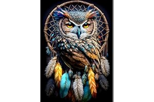 DAERLE Acchiappasogni Pittura Diamante Fai Da Te, 5D Gufo Diamond Painting Kit Completo per Adulti, Diamant Painting per Bambini, Decorazioni per Casa 30x40cm