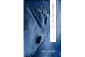 A Sideways Look at Time