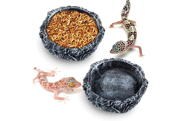 Lot de 2 gamelles d'eau et de nourriture pour reptiles, pour tortue, lézard, dragon, grenouille, léopard, gecko, serpent, caméléon