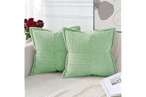Artscope Lot de 2 Boho Housse de Coussin en Velours Côtelé Croisé Canapé Taie d'oreiller en Velours Douce pour Maison Salon Chambre Decorative Vert Sauge 40 x 40 cm
