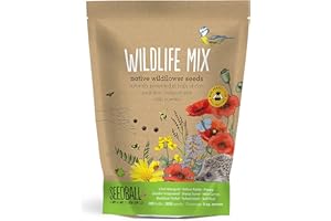 SEEDBALL Wildlife Mix Seed Bombs – 100 Seed Balls Per Pack | Bee Friendly British Wild Flower Seed Mix | Beautiful Coloured Garden Flower Seed Bombs for Bees, Birds & Other Garden Wildlife