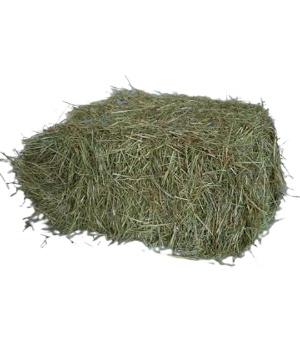 ZIVELA 30 Kg Premium Kippenvoer – Natuurlijk Korrelmengsel Met Haver, Gierst, Lijnzaad, Sorghum En Zwarte Zonnebloempitten – Non-GMO – Voor Legkippen En Vrije Uitloop