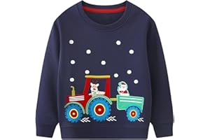 Baogaier Sweatshirt Garçon Dinosaure Imprimé Bleu Marine Pullover Manches Longues Col Rond Sweat Printemps Automne Hiver Sportswear Décontracté Maillot de Survêtement Pull Veste pour Enfants 2-7 Ans