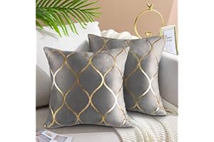 Hanrunsi Grey Cushions Covers 2 Pack 18"x 18" Cushion Cases Velvet Decorative Square Grey Cushions for Sofa Couch Bed Living Room Home Decor 45x45 cm