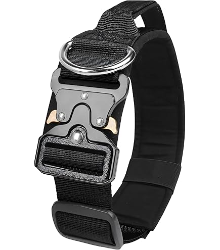Collier Tactique Pour Grand Chien 45-65 Cm - Sangle 45mm Indéchirable, Boucle Métal Rapide, XL
