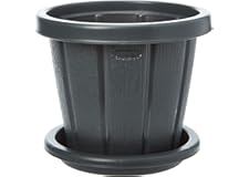 Cosmoplast Plastic Woodgrain Round Flowerpot with Tray