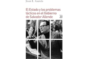 El Estado y los problemas tácticos en el gobierno de Salvador Allende (Varios Siglo XXI, Band 1143)