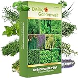 Kräutersamen Set - 10 Sorten Samen - Saatgut Sortiment - Anzuchtset für Küchenkräuter - Geschenkset - Dill, Basilikum, Peters