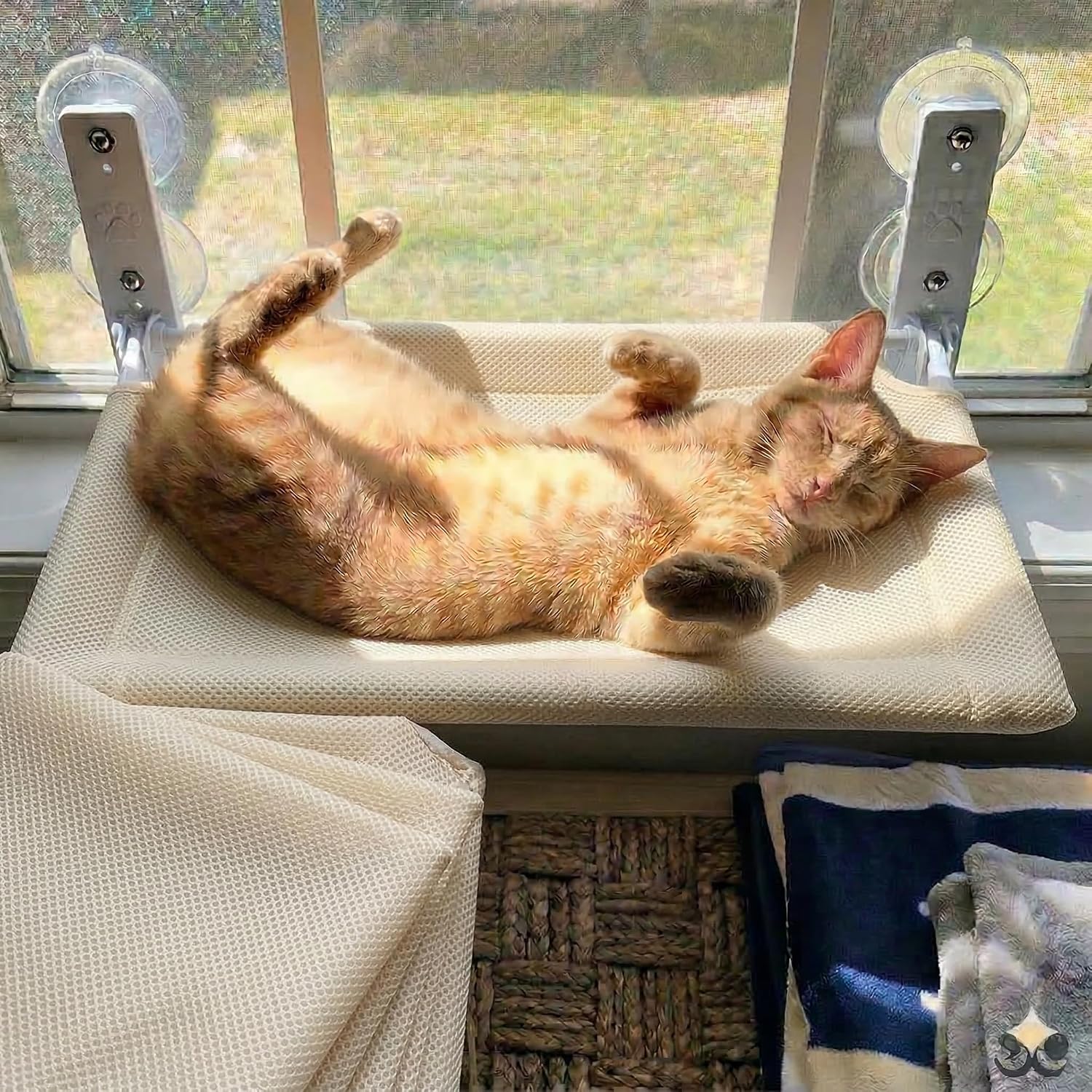 Hamaca Gato Ventana (52x30cm) Bestfriend® | Plegable, Lavable y Transpirable | Ventosas Reforzadas para Seguridad y Estabilidad hasta 18 kg (Caqui)