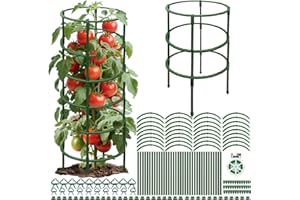 Dwafill Supporto per Piante, Sostegno per Piante Collegato, Aiuto per pomodori, cetrioli, traliccio, altezza regolabile, gabbia per pomodori, cetrioli, traliccio per pomodori, cetrioli, fiori