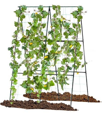 Neegool Komkommer klimhulp 120 x 120 cm, tomatenplantenhouder voor klimplanten, voor groenten, fruit, bloemen en rankplanten