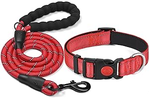 haapaw Collare Riflettente per Cani con Morbido Neoprene Traspirante Regolabile Collari in Nylon Per Cani Piccoli Medi Grandi