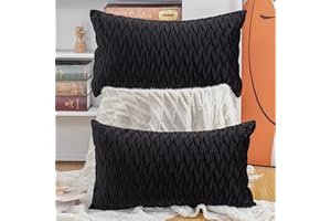 Madizz Pack of 2 Super Soft Velvet Decorative Cushion Covers with Texture Luxury Style Throw Pillow Cases Pillow Shell for Sofa Bedroom Black 12x20 inch Rectangular