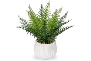 ‎OAIRSE Oairse Kunstpflanze im Topf Kunstpflanze Fern Deko Modern Kunstpflanzen Kunststoff Pflanzen Deko für Wohnzimmer Balkon Schlafzimmer Badezimmer Zimmer Tischdeko