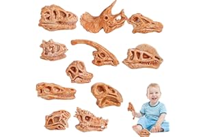 BANSUSU 11pcs Mini Dinosaur Bones Plastic Realistic Dinosaur Head Skeleton Various Styles Dinosaur Fossils Stimulate Imagination Fossils for Kids for Gift And Party Favor Decorations