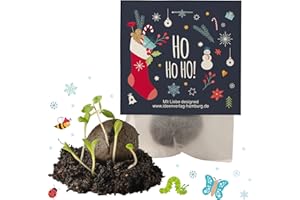 IDEENVERLAG HAMBURG 4x "Ho Ho Ho" Winter Samenbomben Weihnachten / treiben aus bei Kälte / kleine Geschenke Kollegen Saatbomben Geschenk Gäste Geschenke Gastgeschenk Kinder Dankeschön Geschenke Kollegen Kleinigkeiten