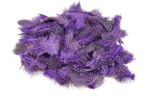 Netuno 150 Plumas Decorativas Morados Punteadas 6g Manualidades Decoración Atrapasueños Fiestas Pascua Navidad Bricolaje Hogar Bodas Cumpleaños Árbol Navidad Mesas Proyectos Creativos