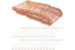 ANBEEISS 250 st kraftiga armeringsskenor, 1 mm x 100 mm | Dubbel ögla vridband, stålarmeringsstång, för betong trädgårdsstake
