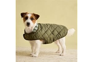 Rosewood x Joules Khaki Quilted Coat for Dogs, Small, Washable, Lightweight, Warm Winter Dog Jacket for Small Dogs