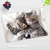 Sous-Main Effaçable Chatons Câlins 60x40cm - Vinyle Antidérapant - Fabriqué En Allemagne