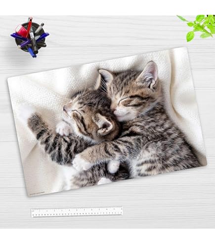 Sous-main En Polypropylène. Bords Arrondis - Surface Antidérapante