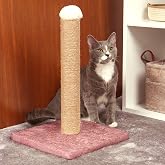 Kedi Tırmalama Tahtası Karışık Renk