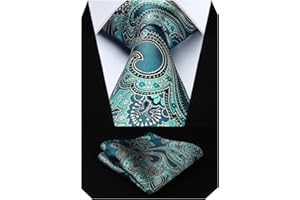 HISDERN Cravate Paisley Homme Cravates Floral Cravate Mariage Cravates de Poche Set