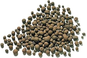 DMS Billes D'Argiles Laterlite - Spéciale Jardinage - 3-8 mm - 2 Litres