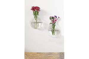 WINKEE Dahlia Wazony ścienne, przezroczyste, 13 x 12 x 14 cm