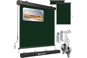 KESSER® Toldo vertical de 160 x 250 cm, con mecanismo de manivela, incluye kit de montaje y cubierta, protección solar con manivela para balcón y terraza