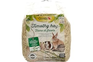 GIMBORN Fieno di fleolo - Timothy Hay aromatica 500g Fieno per roditori